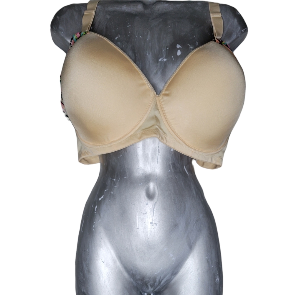 Angelina Women Plus Size Padded Bras 3 colors